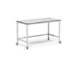 Heavy Duty Mobile Lab Bench